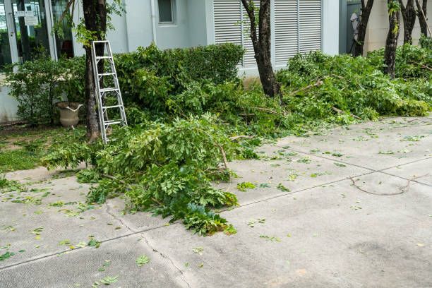 Tree Service Company in Dudley, NC